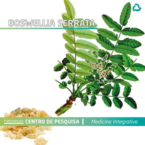 Boswellia serrata