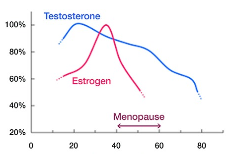 níveis hormonais e a idade