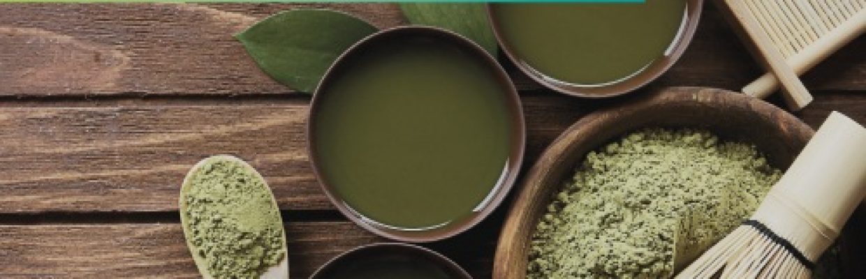 Extrato de green tea para hipertensos obesos